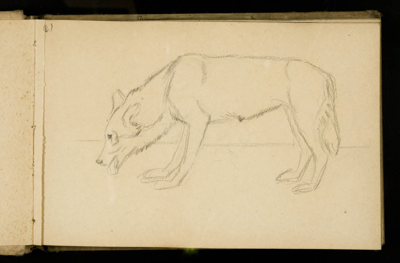 Gustave Soury carnet de dessins Etude de louve 1907 1967.116.925.3 Photo