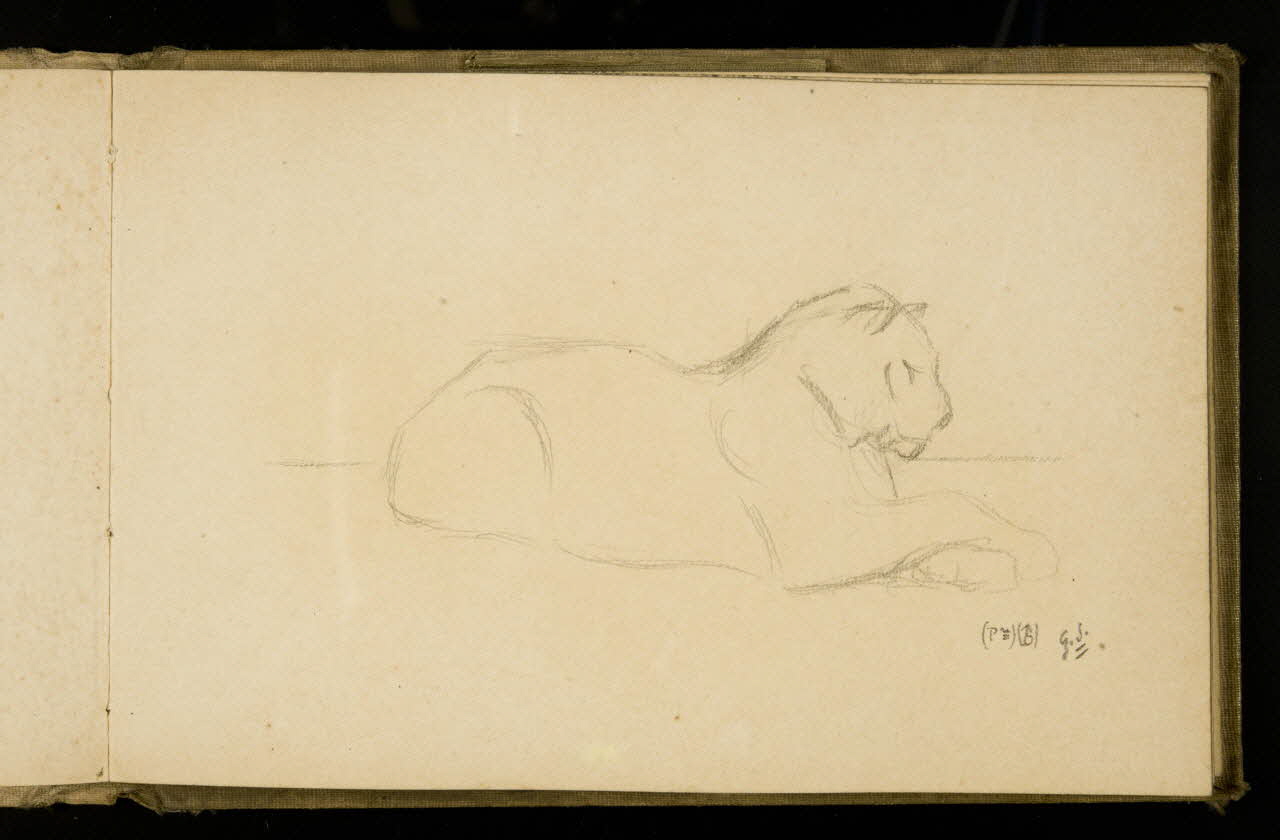 Gustave Soury carnet de dessins Etude de panthère mâle 1907 1967.116.925.30 Photo