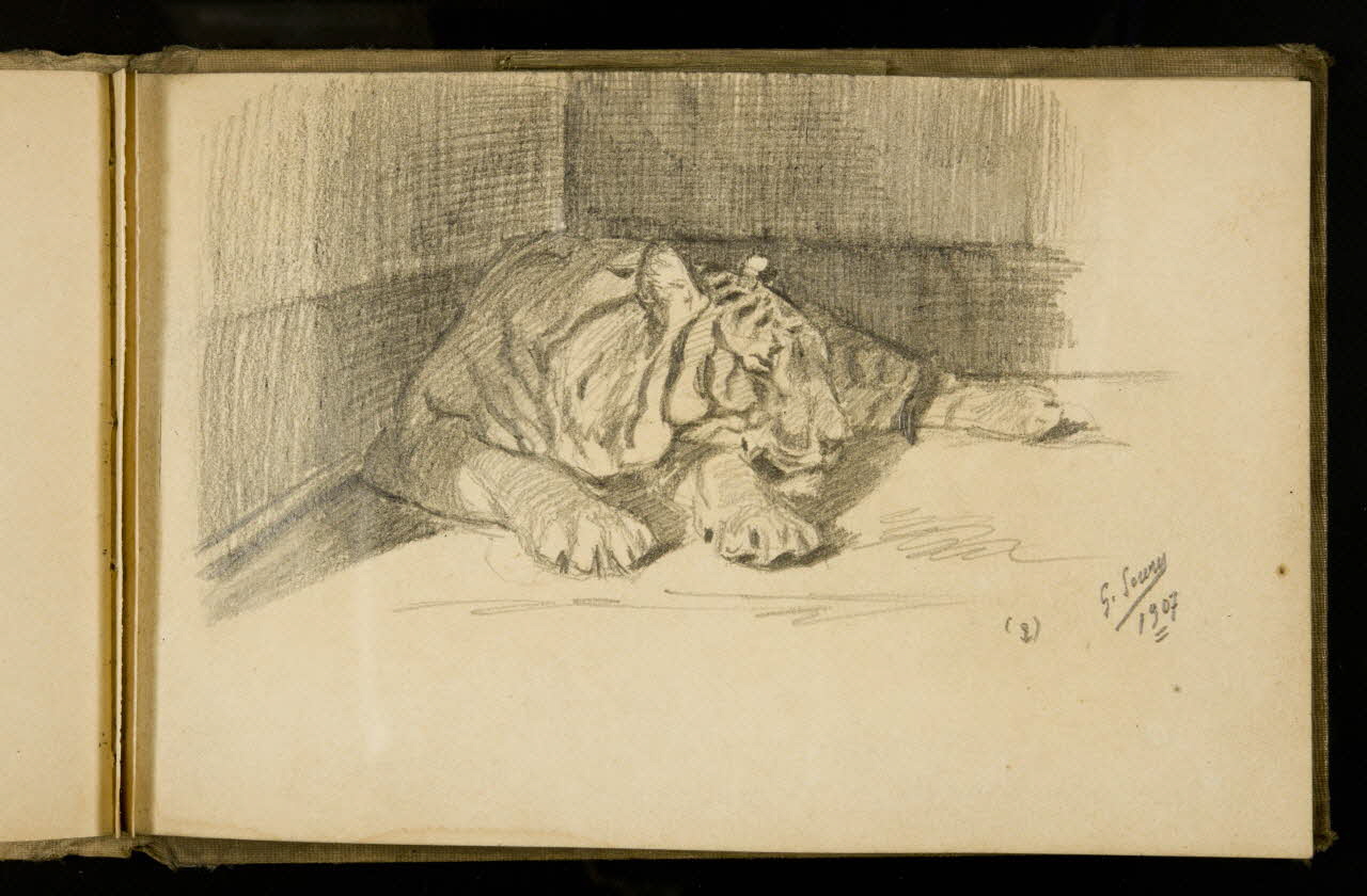 Gustave Soury carnet de dessins Etude d'une tigresse 1907 1967.116.925.34 Photo