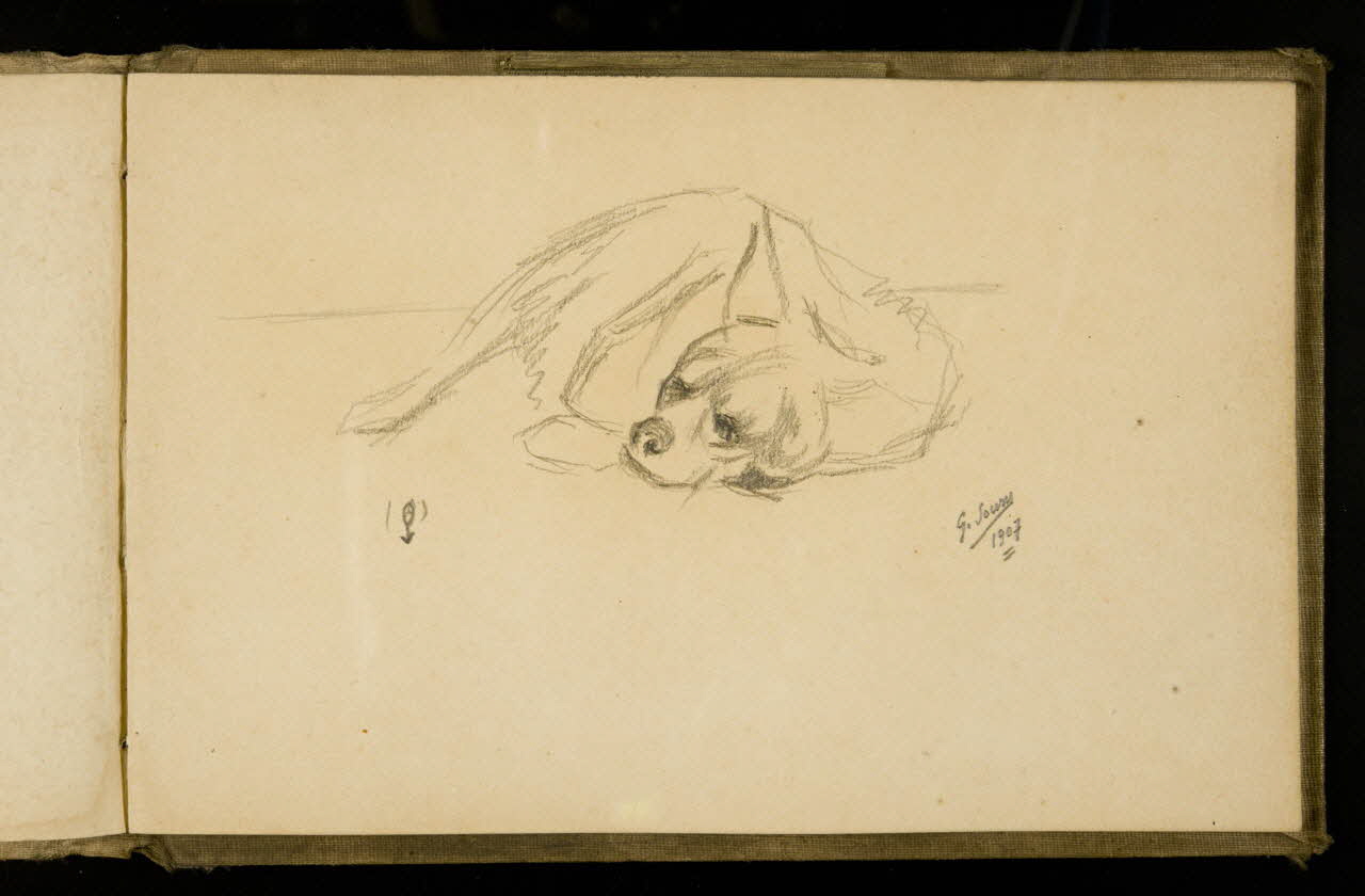 Gustave Soury carnet de dessins Hyène couchée 1907 1967.116.925.35 Photo