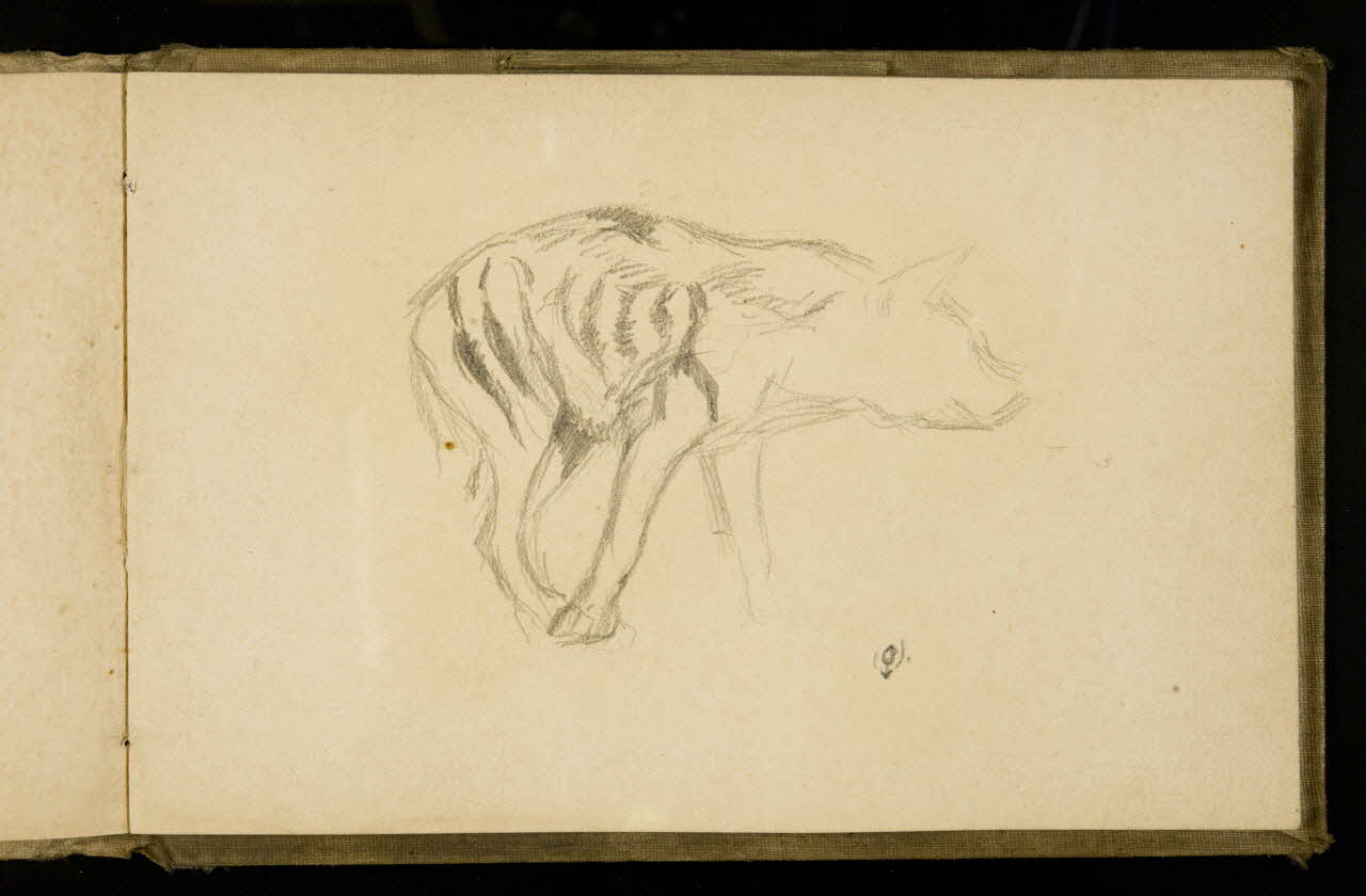 Gustave Soury carnet de dessins Etude de hyène 1907 1967.116.925.36 Photo