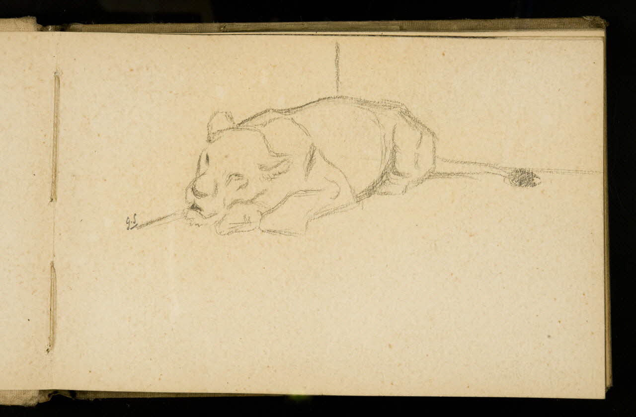 Gustave Soury carnet de dessins Etude de lion 1907 1967.116.925.4 Photo
