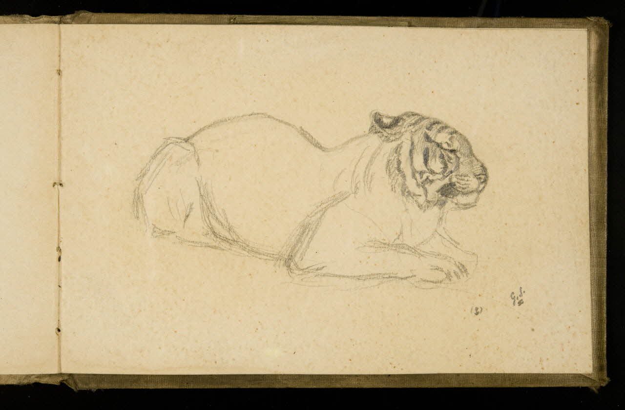 Gustave Soury carnet de dessins Etude de tigresse 1907 1967.116.925.40 Photo