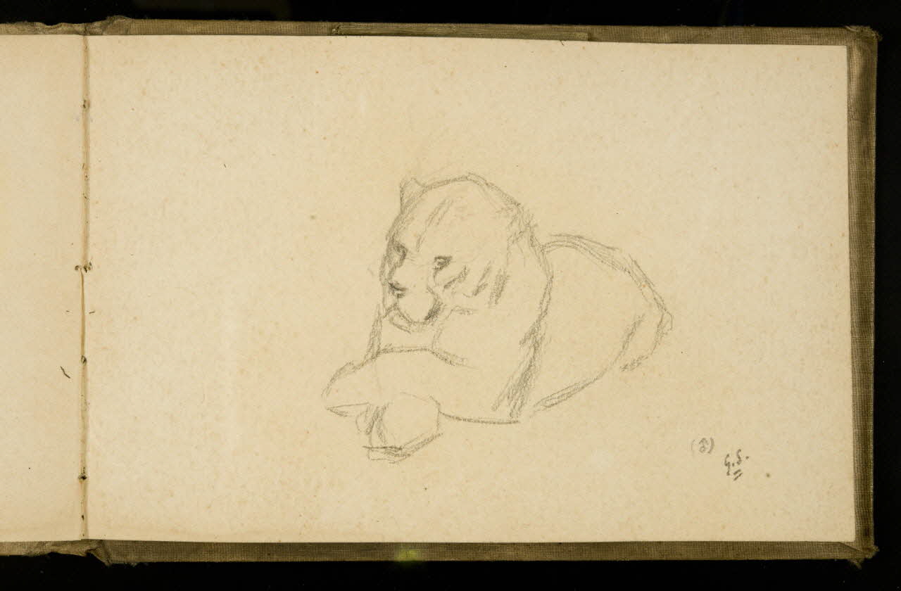 Gustave Soury carnet de dessins Etude de félin 1907 1967.116.925.41 Photo