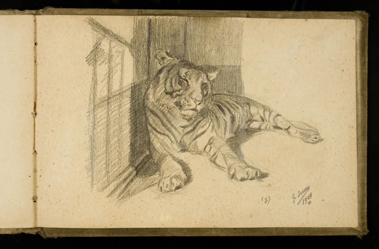 Gustave Soury carnet de dessins Etude de tigresse 1907 1967.116.925.42 Photo