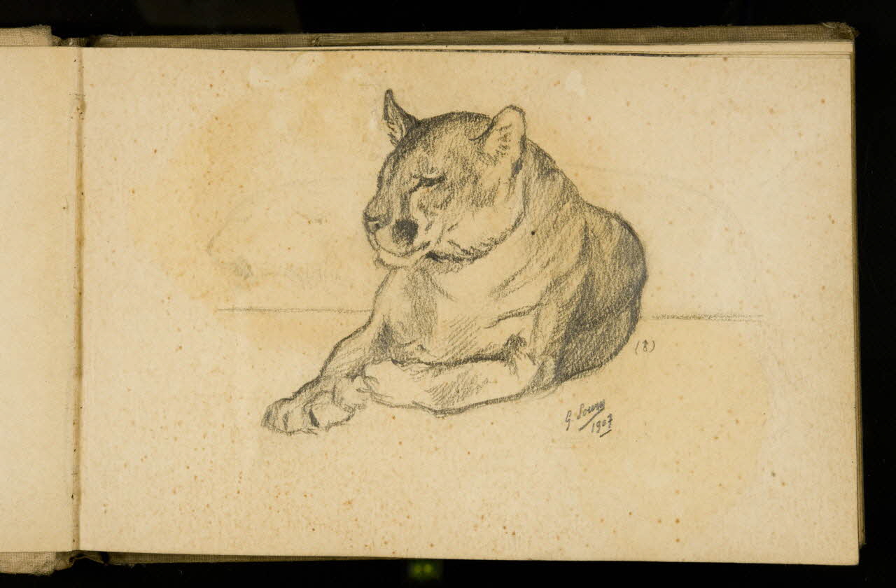 Gustave Soury carnet de dessins Etude de félin 1907 1967.116.925.6 Photo