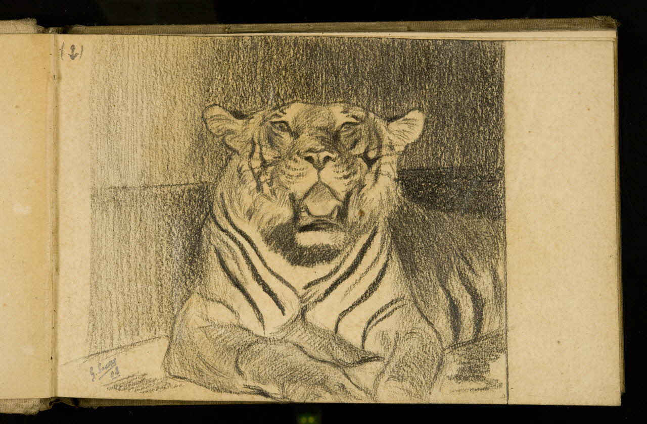 Gustave Soury carnet de dessins Etude de tigresse 1908 1967.116.925.7 Photo