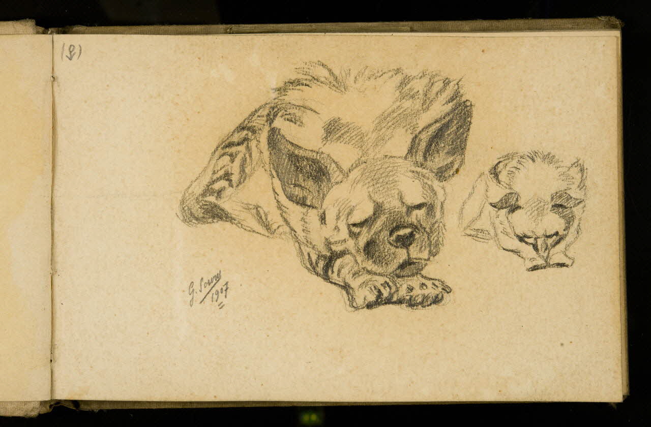 Gustave Soury carnet de dessins Etudes d'hyène femelle 1907 1967.116.925.8 Photo