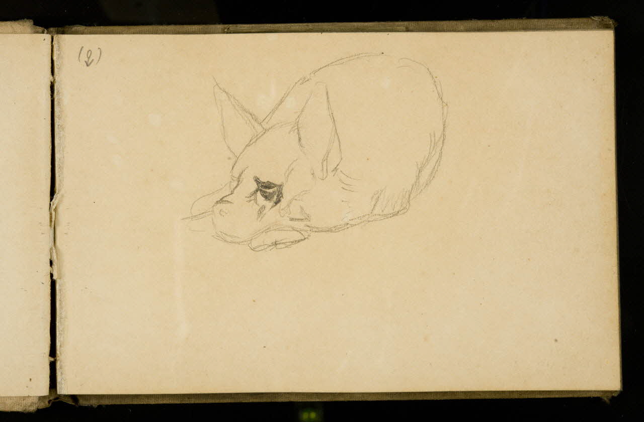 Gustave Soury carnet de dessins Etude d'hyène 1907 1967.116.925.9 Photo