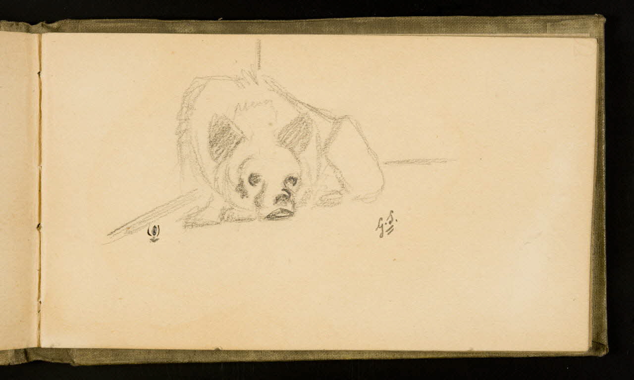 Gustave Soury carnet de dessins Etude d'hyène femelle 1907 1967.116.926.19 Photo