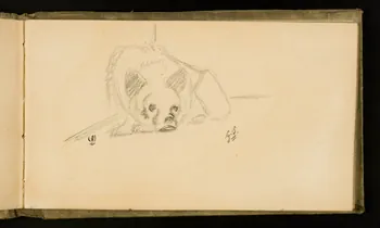 Gustave Soury carnet de dessins Etude d'hyène femelle 1907 1967.116.926.19 Photo