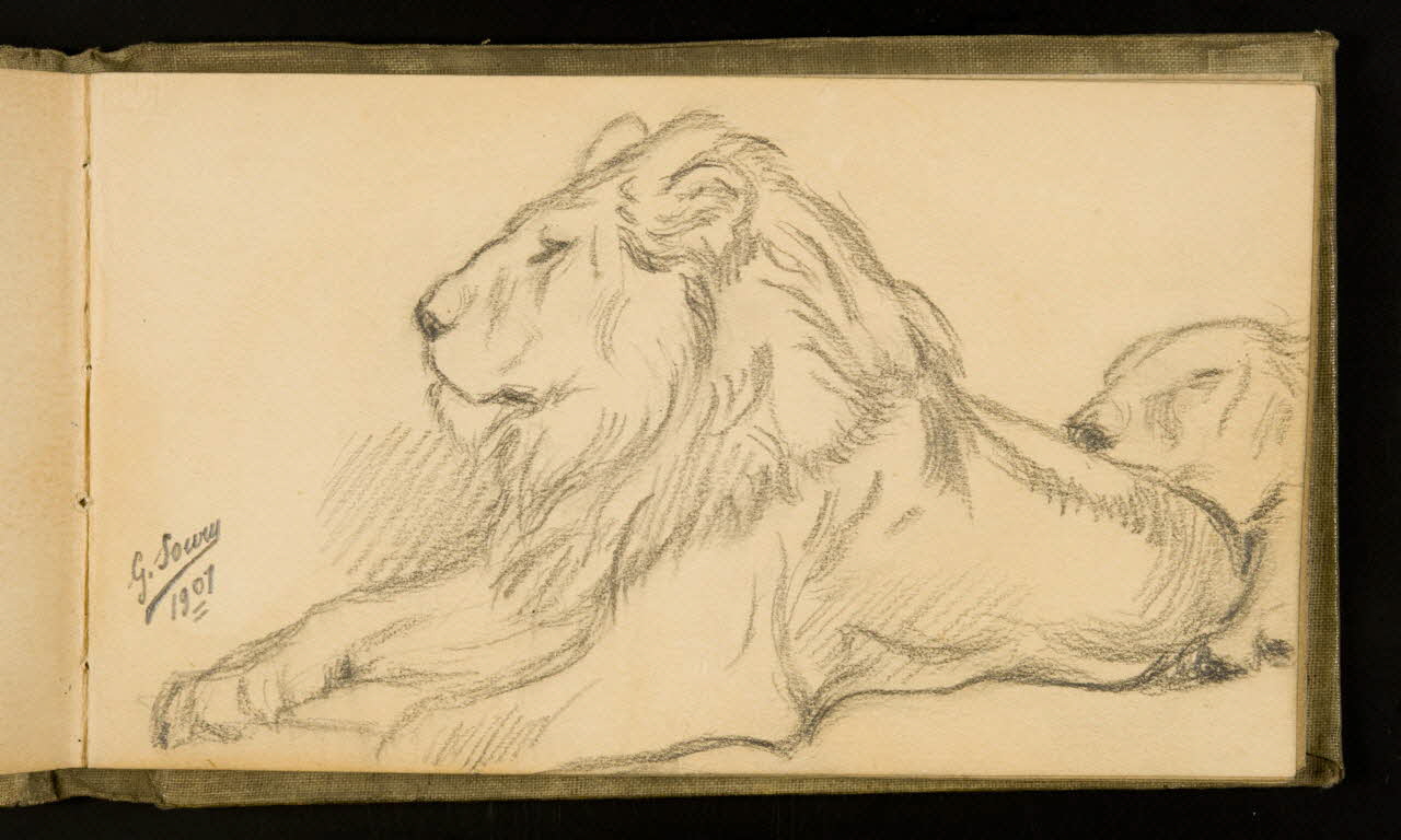 Gustave Soury carnet de dessins Etude de lions 1907 1967.116.926.20 Photo