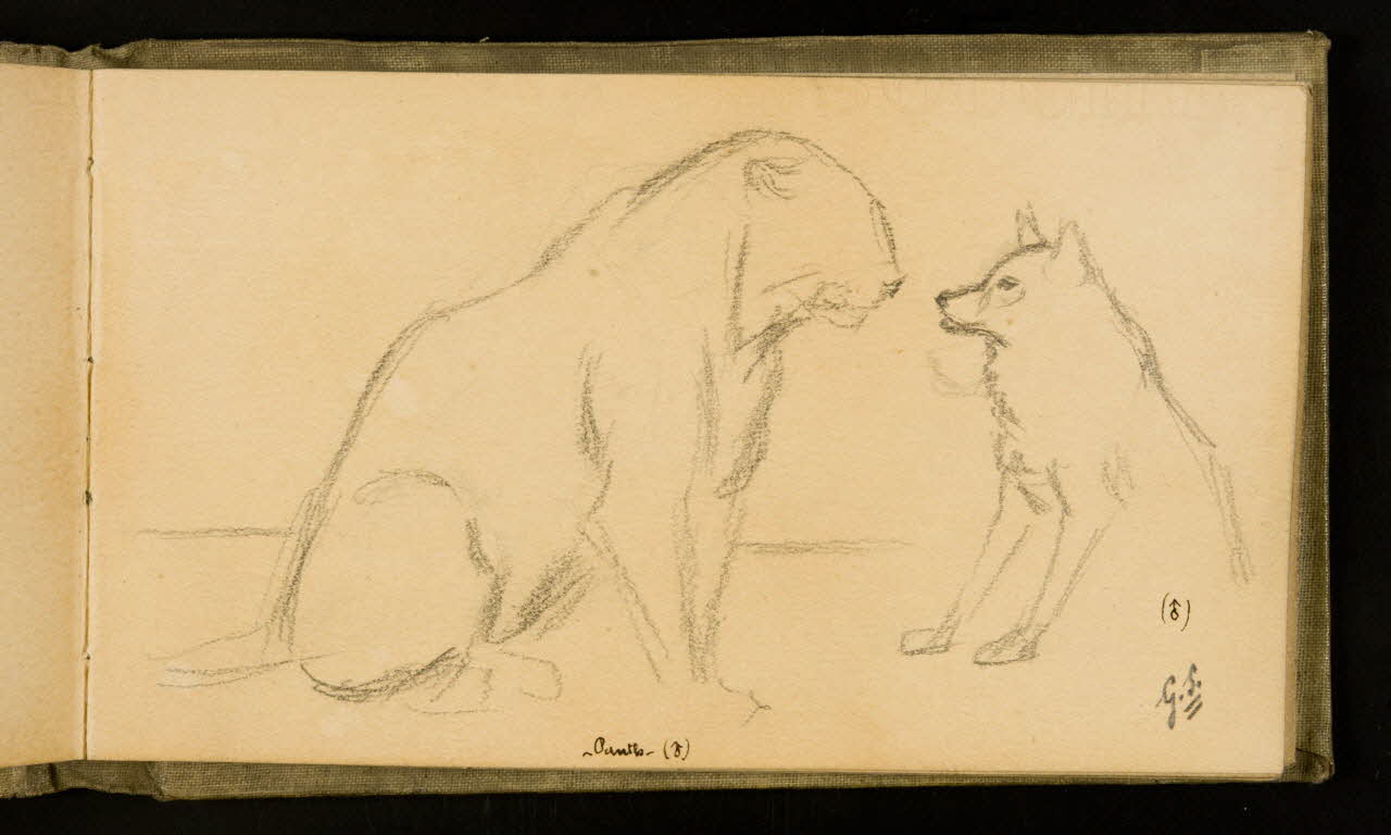 Gustave Soury carnet de dessins Une panthère et une hyène mâles 1907 1967.116.926.21 Photo