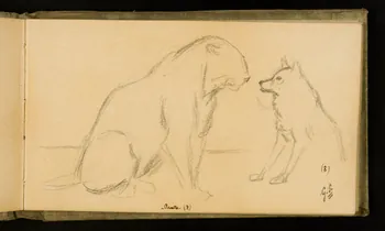 Gustave Soury carnet de dessins Une panthère et une hyène mâles 1907 1967.116.926.21 Photo