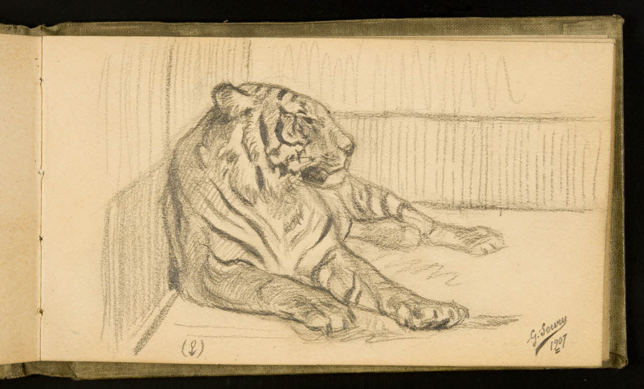 Gustave Soury carnet de dessins Etude d'une tigresse 1907 1967.116.926.22 Photo