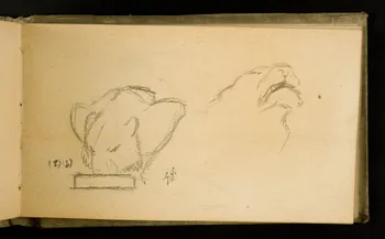 Gustave Soury carnet de dessins Etude d'une tigresse 1907 1967.116.926.24 Photo