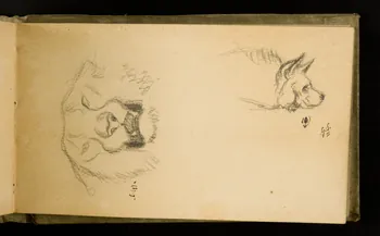 Gustave Soury carnet de dessins Lionne et hyène femelles 1907 1967.116.926.26 Photo