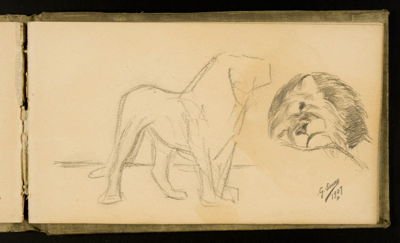 Gustave Soury carnet de dessins Félin et lion 1907 1967.116.926.28 Photo