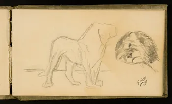 Gustave Soury carnet de dessins Félin et lion 1907 1967.116.926.28 Photo