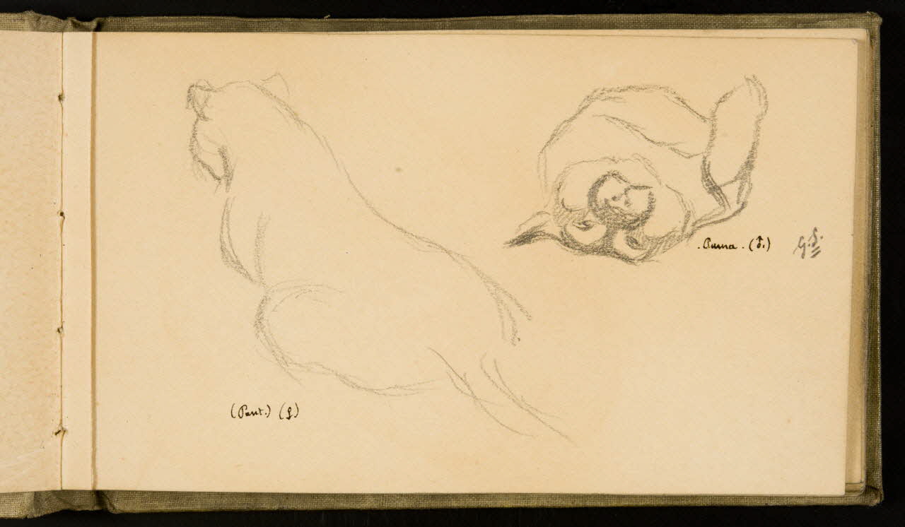 Gustave Soury carnet de dessins Une panthère et un puma 1907 1967.116.926.3 Photo