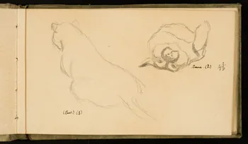 Gustave Soury carnet de dessins Une panthère et un puma 1907 1967.116.926.3  Photo