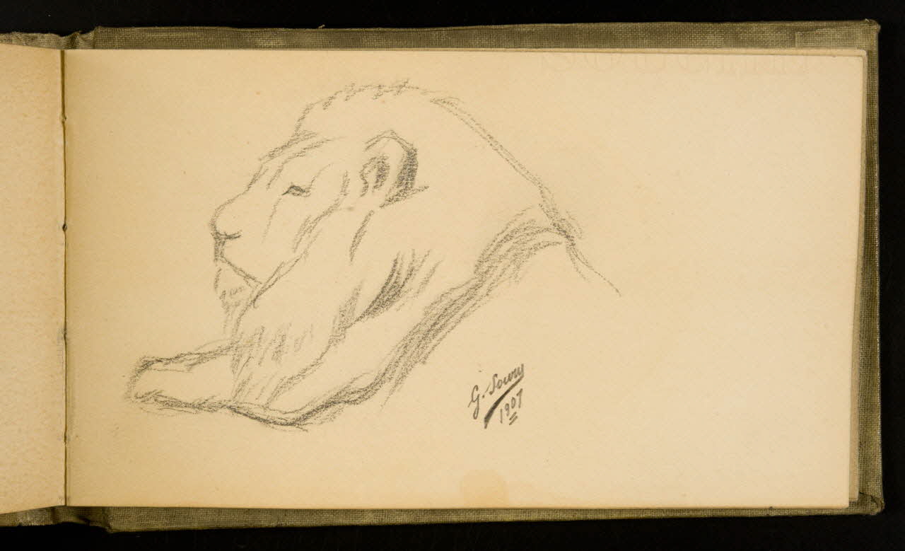 Gustave Soury carnet de dessins Etude de lion 1907 1967.116.926.31 Photo