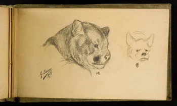 Gustave Soury carnet de dessins Félin et hyène 1907 1967.116.926.33 Photo