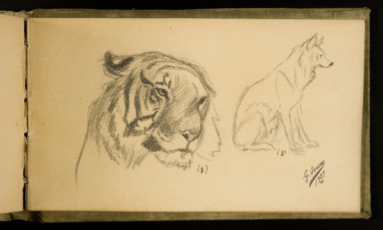 Gustave Soury carnet de dessins Tigresse et louve 1907 1967.116.926.34 Photo