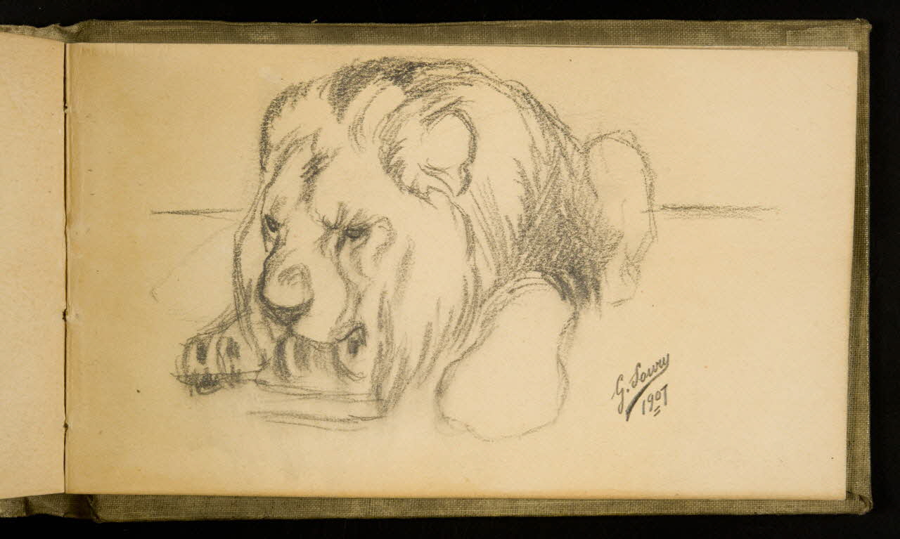 Gustave Soury carnet de dessins Etude de lion s'abreuvant 1907 1967.116.926.35 Photo