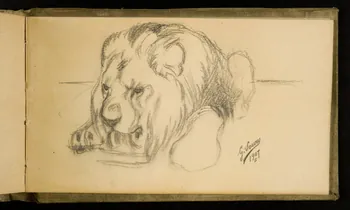 Gustave Soury carnet de dessins Etude de lion s'abreuvant 1907 1967.116.926.35 Photo
