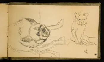 Gustave Soury carnet de dessins Etude d'hyène 1907 1967.116.926.36 Photo