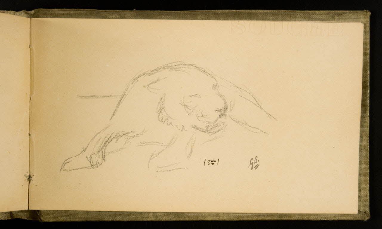Gustave Soury carnet de dessins Etude d'une tigresse 1907 1967.116.926.37 Photo