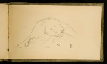 Gustave Soury carnet de dessins Etude d'une tigresse 1907 1967.116.926.37 Photo