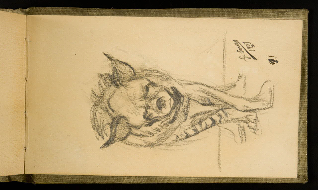 Gustave Soury carnet de dessins Etude d'une hyène femelle 1907 1967.116.926.38 Photo