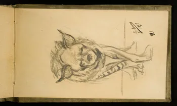 Gustave Soury carnet de dessins Etude d'une hyène femelle 1907 1967.116.926.38 Photo