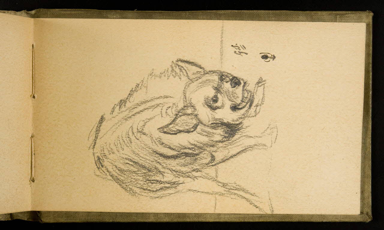 Gustave Soury carnet de dessins Etude de hyène femelle 1907 1967.116.926.39 Photo
