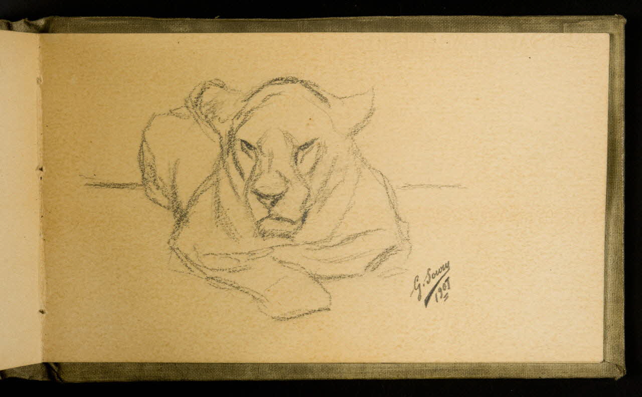 Gustave Soury carnet de dessins Etude de félin 1907 1967.116.926.40 Photo