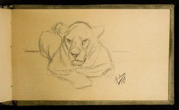 Gustave Soury carnet de dessins Etude de félin 1907 1967.116.926.40 Photo