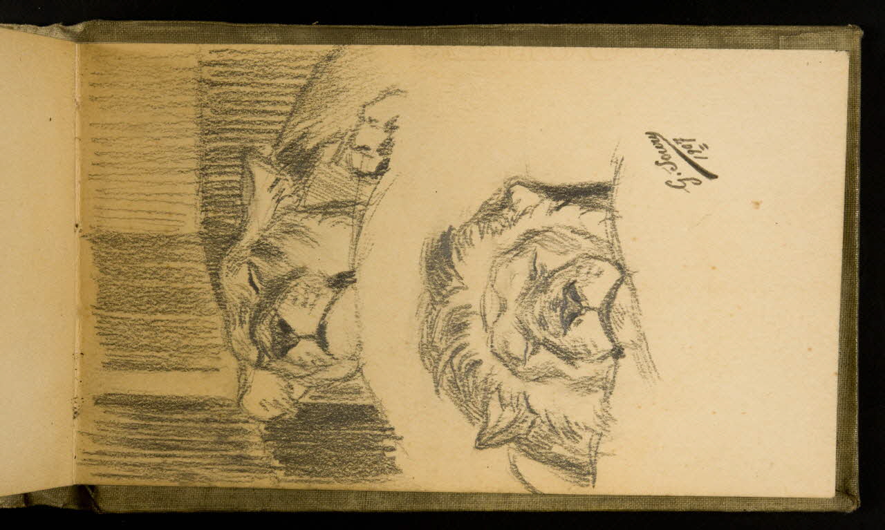 Gustave Soury carnet de dessins Etude de lions 1907 1967.116.926.41 Photo