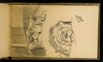 Gustave Soury carnet de dessins Etude de lions 1907 1967.116.926.41 Photo
