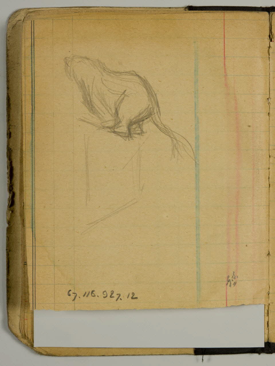 carnet de dessins Etude de fauve sur un perchoir 1967.116.927.12 Photo