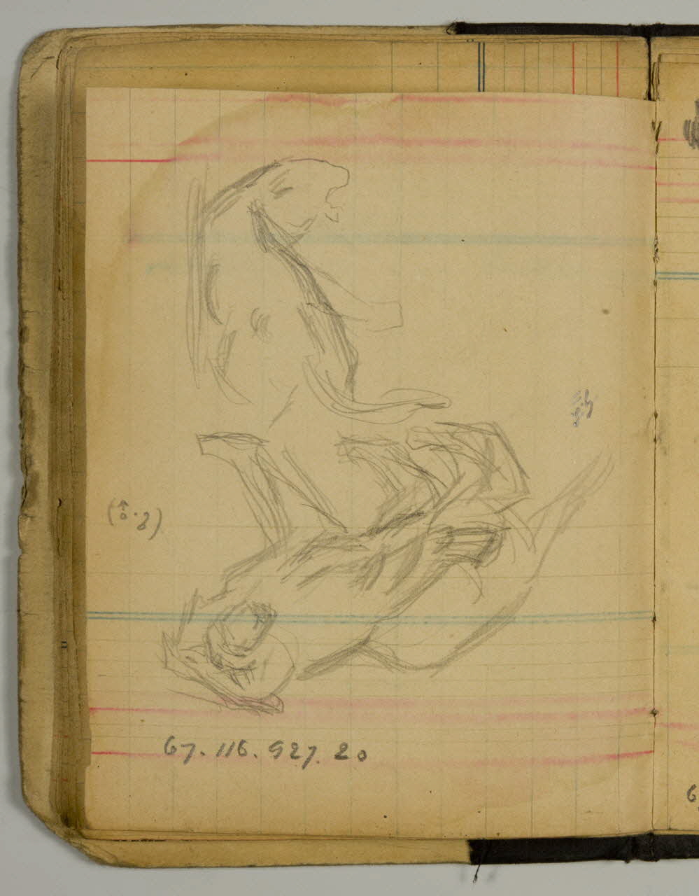 carnet de dessins Esquisse de combat de fauves 1967.116.927.20 Photo