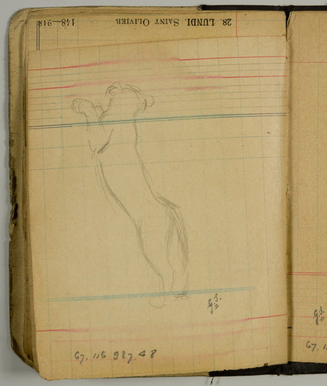 carnet de dessins Esquisse de lionne debout 1967.116.927.48 Photo