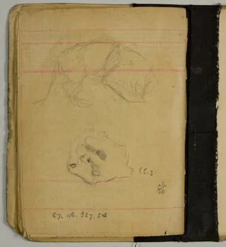 carnet de dessins Esquisse de tigre 1967.116.927.54 Photo