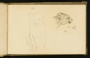 Gustave Soury carnet de dessins carnet de dessins Paris 1910 1967.116.932.11  Photo