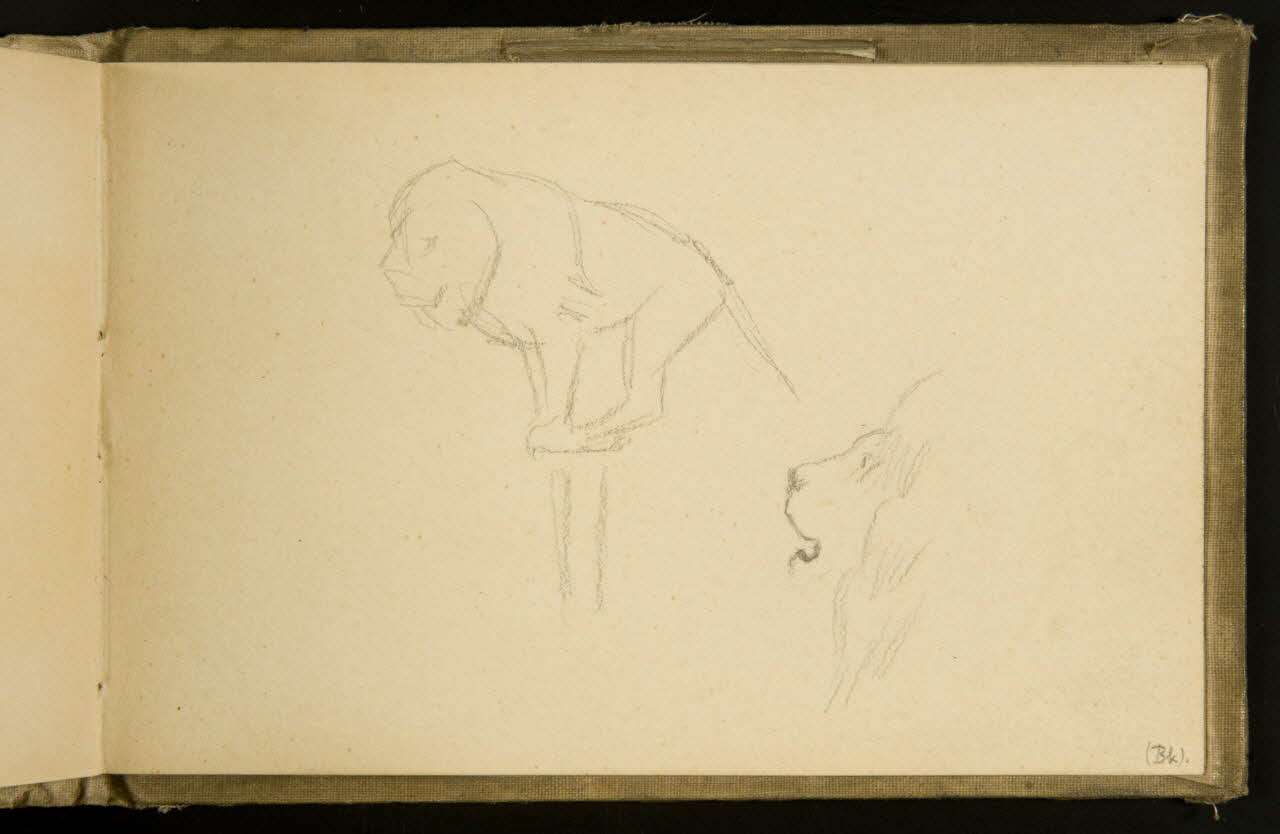 carnet de dessins Esquisses d'un lion sur un tabouret et d'une tête de lion 1967.116.932.45 Photo