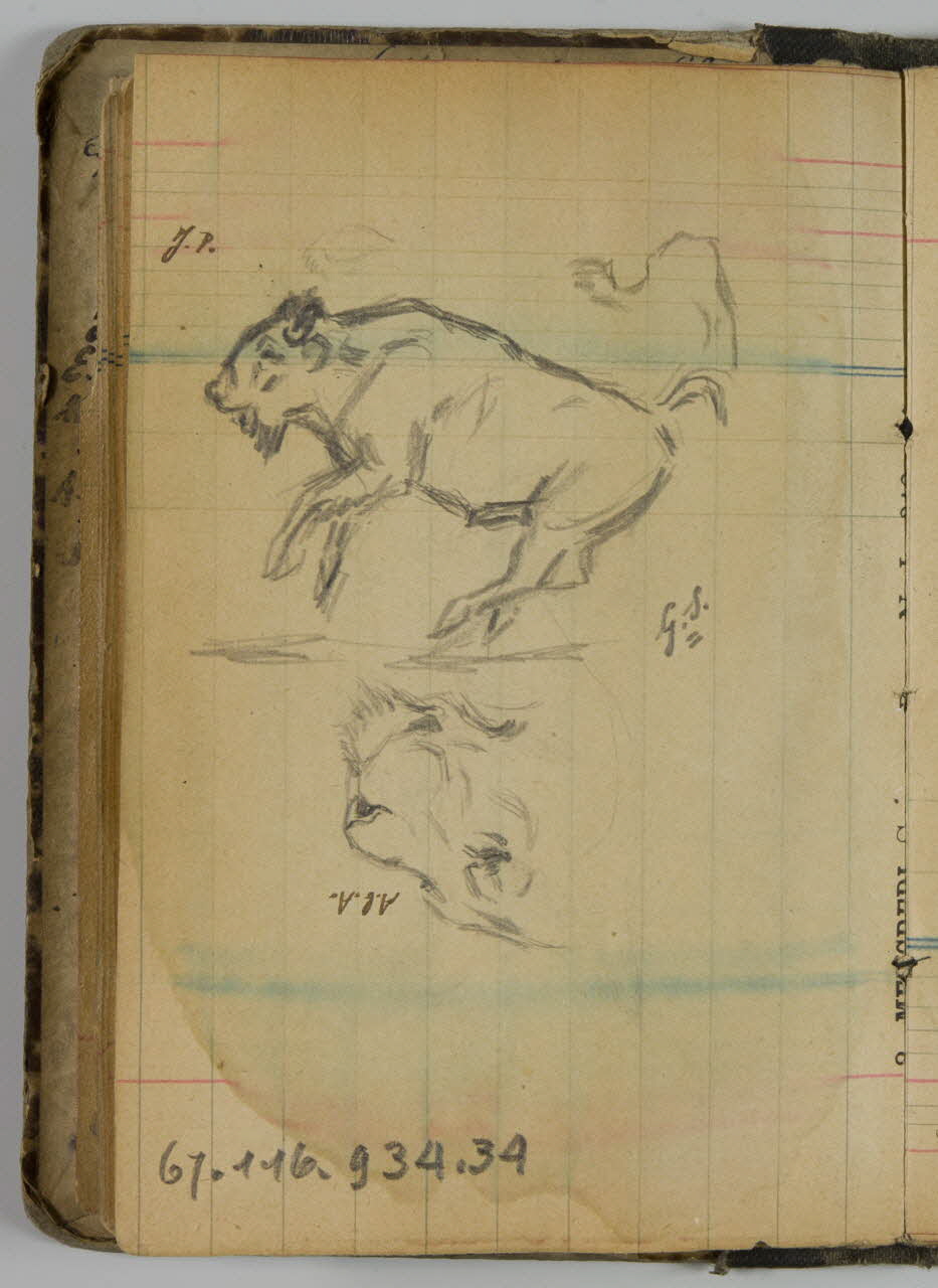 carnet de dessins Bison 1967.116.934.34 Photo