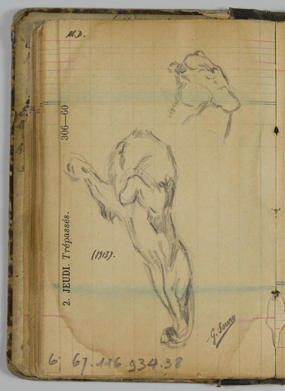 carnet de dessins Félin 1967.116.934.38 Photo