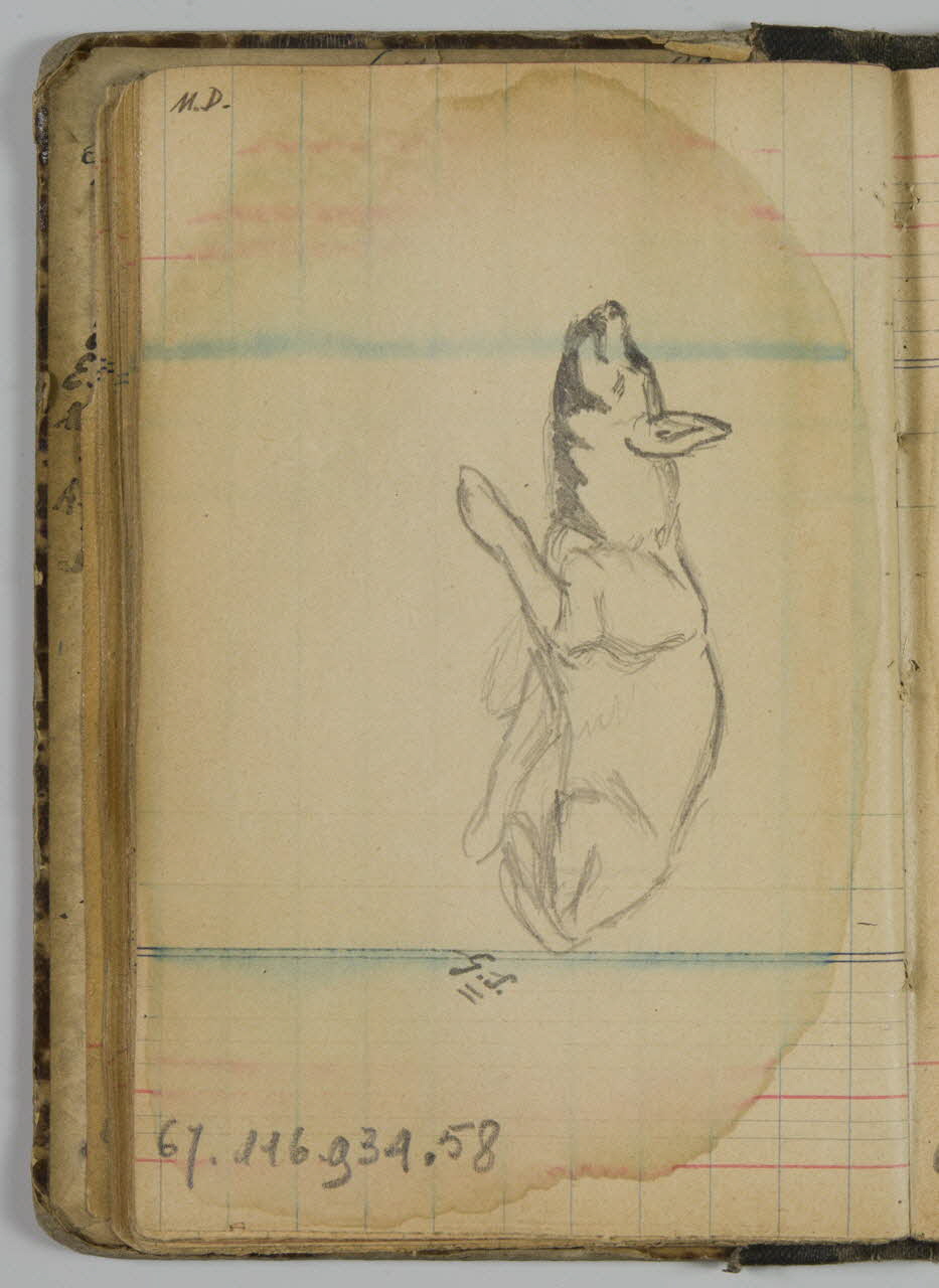 carnet de dessins Hyène 1967.116.934.58 Photo