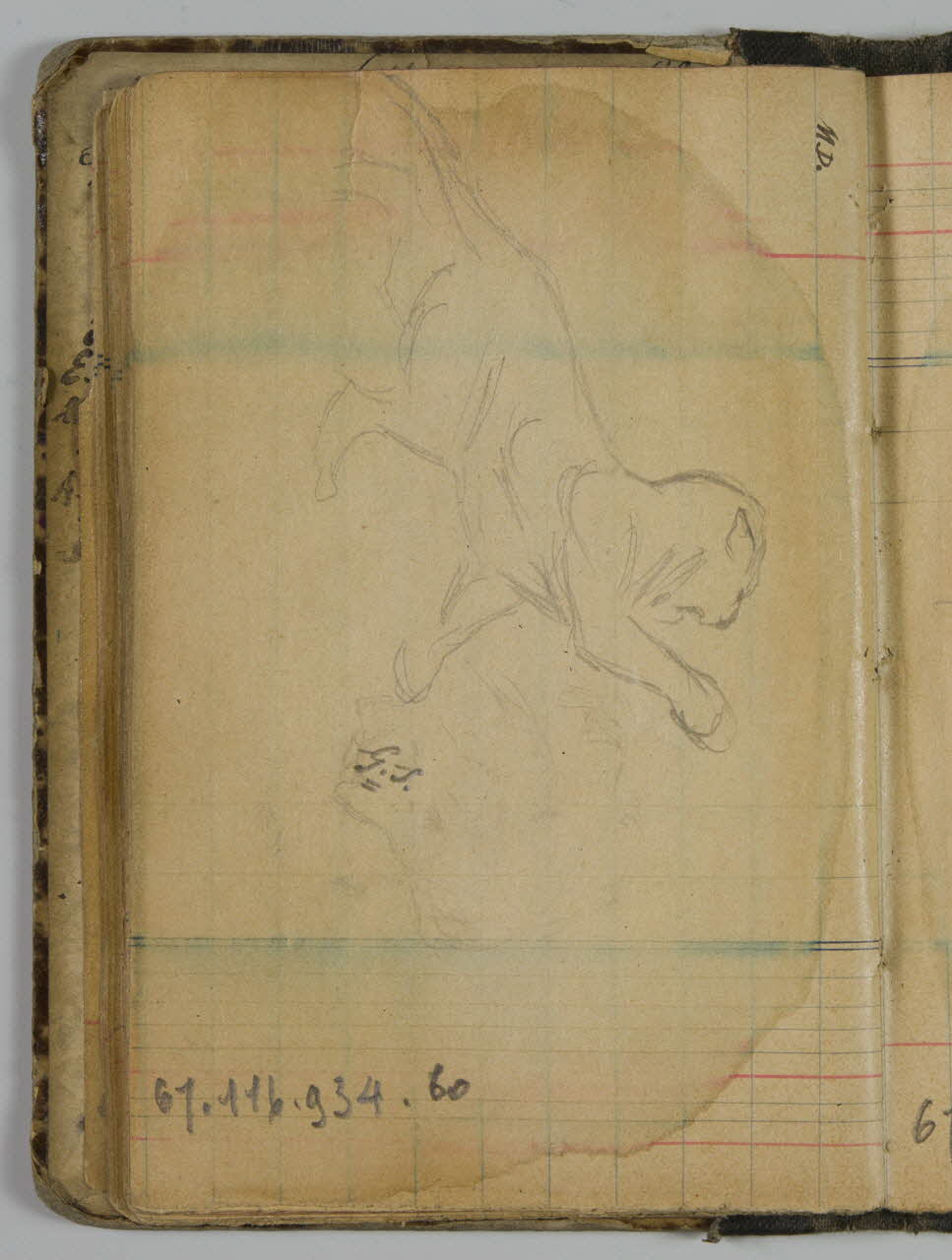 carnet de dessins Félin 1967.116.934.60 Photo